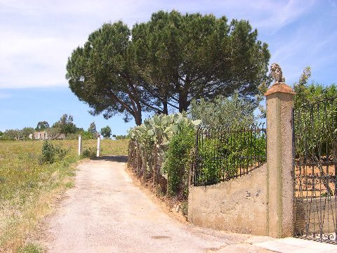 Sicile - Chalet à louer — photo 9