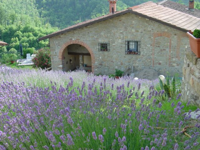 ITALIE TOSCANA Agriturismo Giratola appartement in ferme avec piscine
