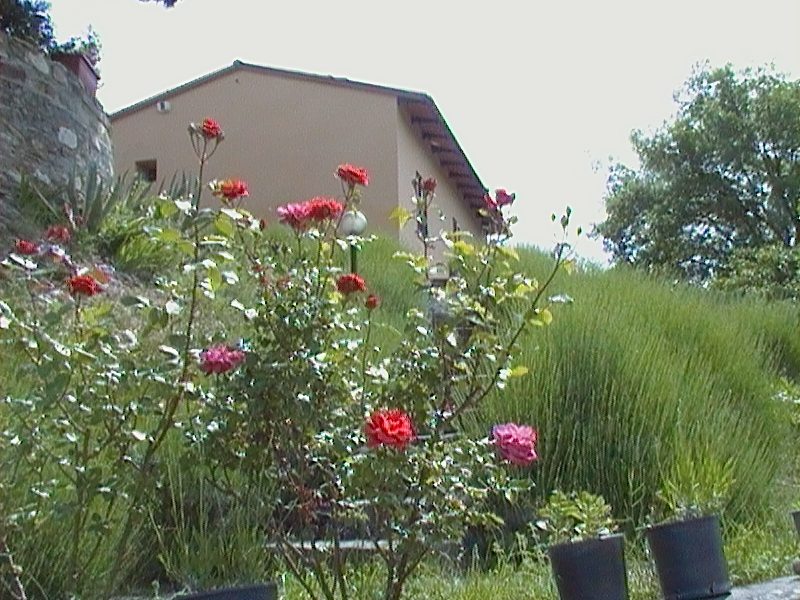 TOSCANE 25 km Florence gite ROSMARINO piscine — photo 8