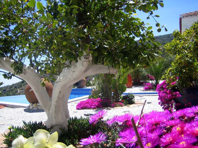 Andalousie- Costa del Sol - Gîtes de charme pour 2 — photo 10