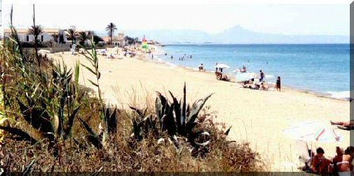Location en FRONT DE MER à Dénia - direct plage — photo 8