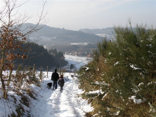 Entre Vosges et Alsace, gite / chalet tout confort 6 personnes — photo 7