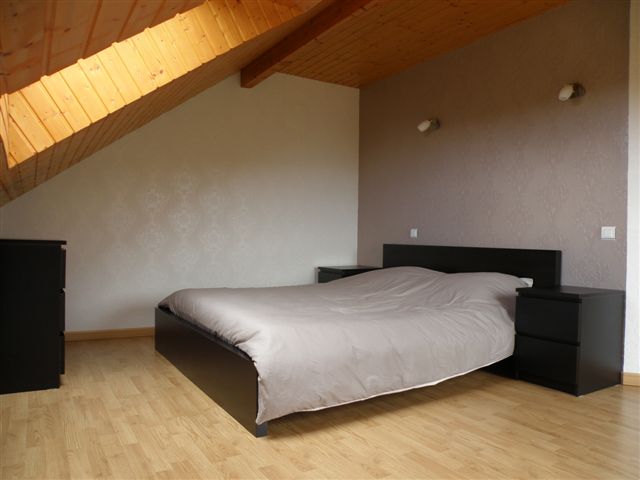 Entre Vosges et Alsace, gite / chalet tout confort 6 personnes — photo 8