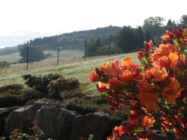 Entre Vosges et Alsace, gite / chalet tout confort 6 personnes — photo 9