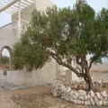 Djerba Villa 2 CC