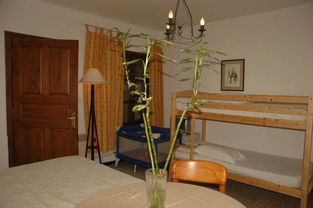 STUDIOS DANS  RESIDENCE SUR PRESQU'ÏLE DE GIENS — photo 6