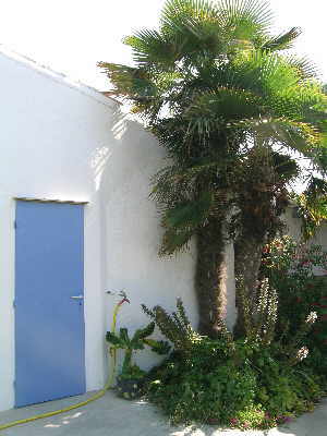 Location Oleron