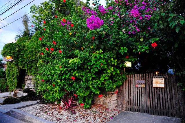 Casitas Kinsol - Chambres a louer chez l'habitant