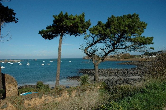 GITE BRETAGNE, LE BORD DE MER à plougasnou