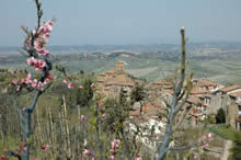casa vacanze tarrini