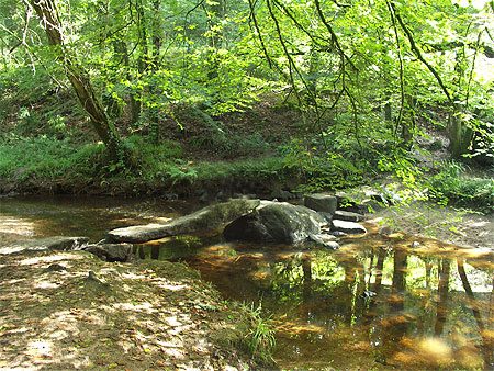 Gite Ty Moris 10 mn de Morlaix et d'Huelgoat — photo 6