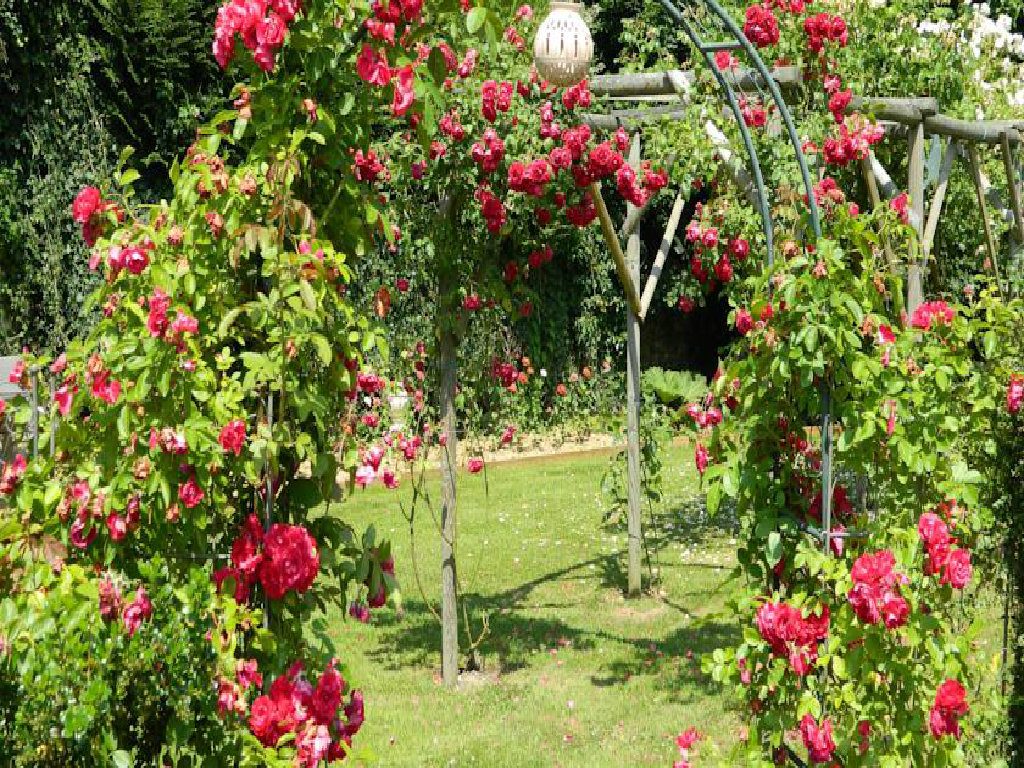 Chambres d'hôtes au Jardin à la Haute Sarthe — photo 7