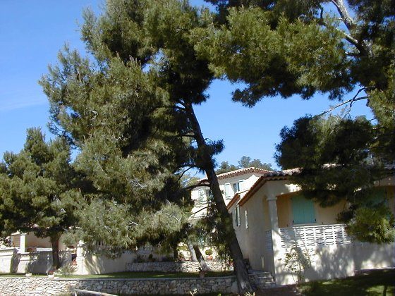 Gite Les Lauriers à Maussane les Alpilles