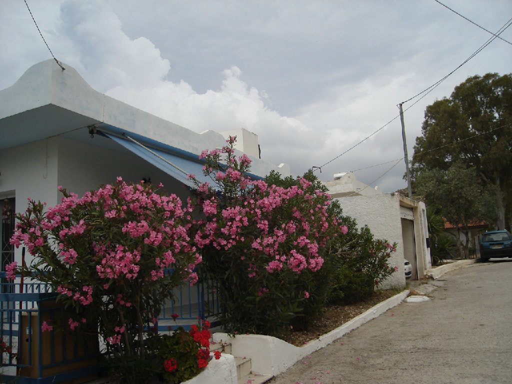 MAISON A EGINE — photo 10