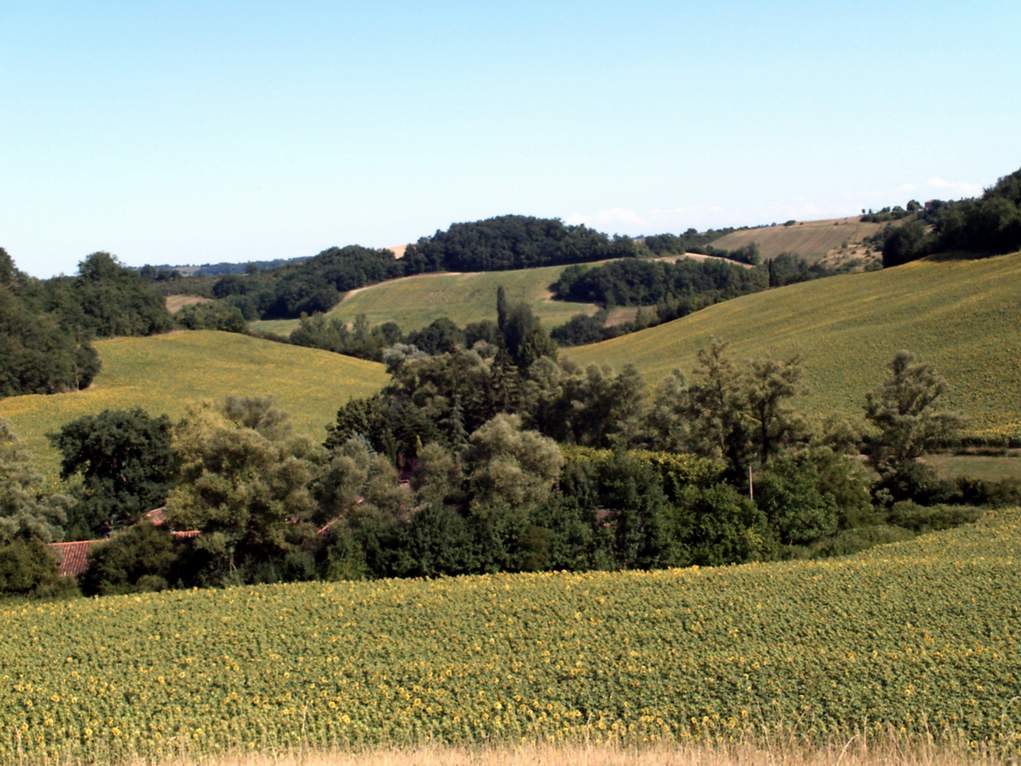 Un Paradis des vacances en Gascogne — photo 6