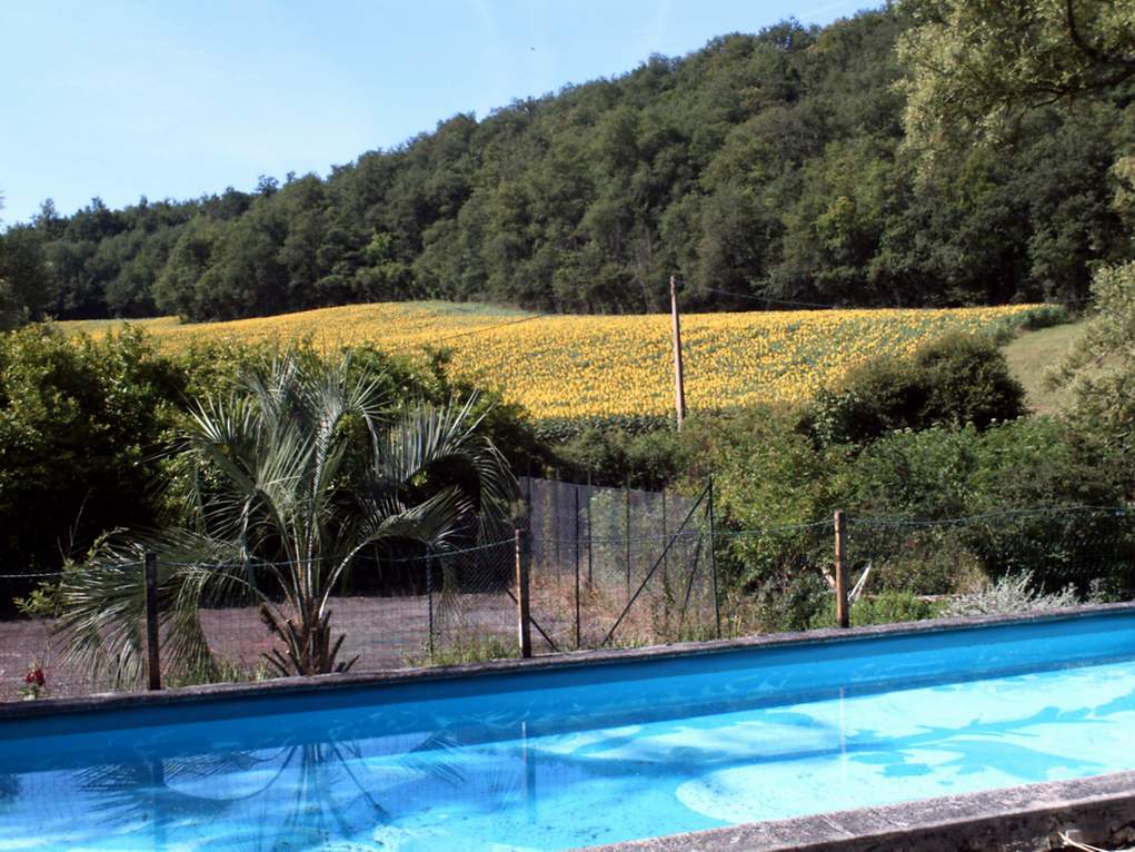 Un Paradis des vacances en Gascogne — photo 8