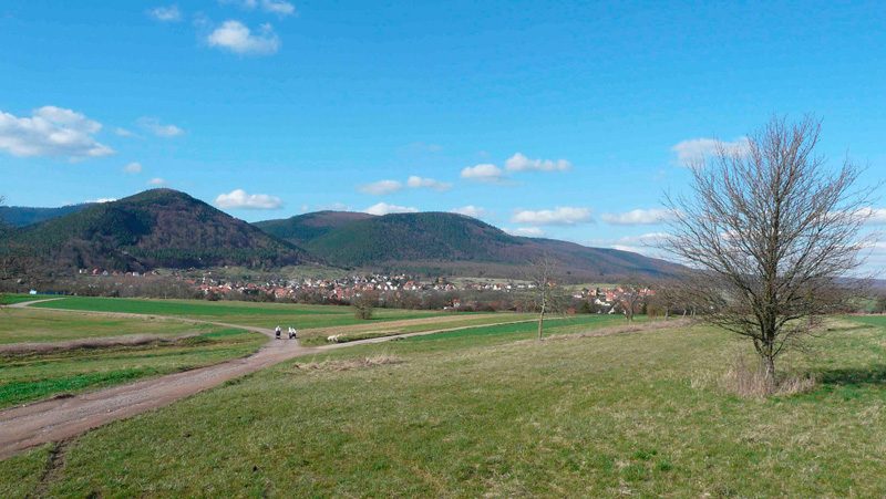 Gite en Alsace Elisa — photo 6