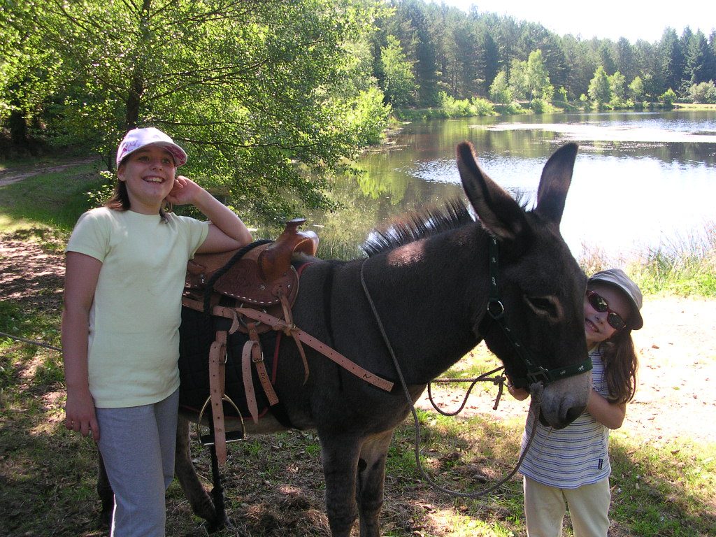 Gite du Mas del Bos — photo 9