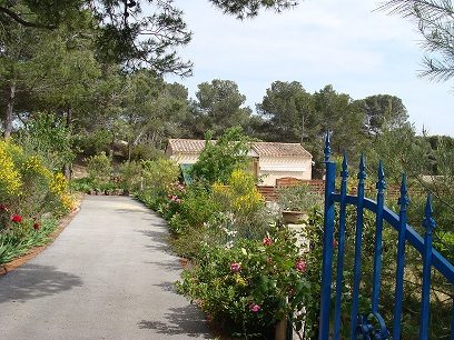 Sud France: gîte avec piscine privée dans pinède — photo 7