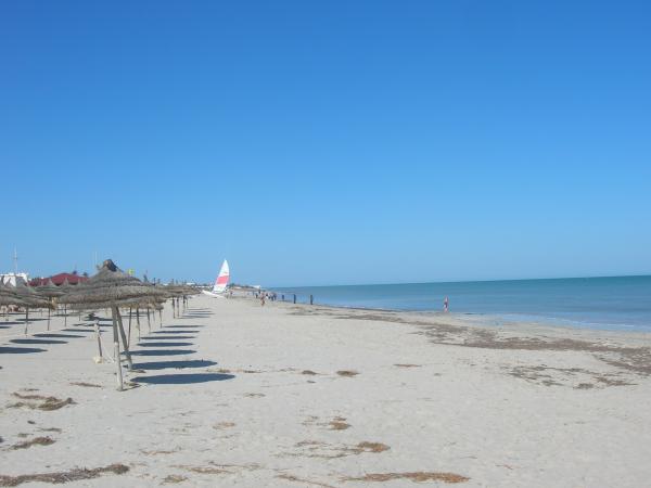 Joli studio meublé & climatisé à Djerba — photo 9