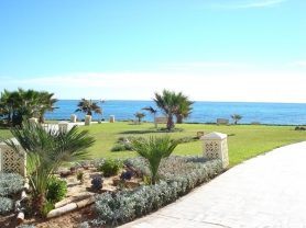 Tunisie-Hammamet pieds dans l'eau — photo 6