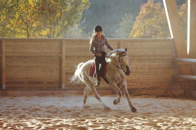 yourte sur ferme équestre en pleine nature