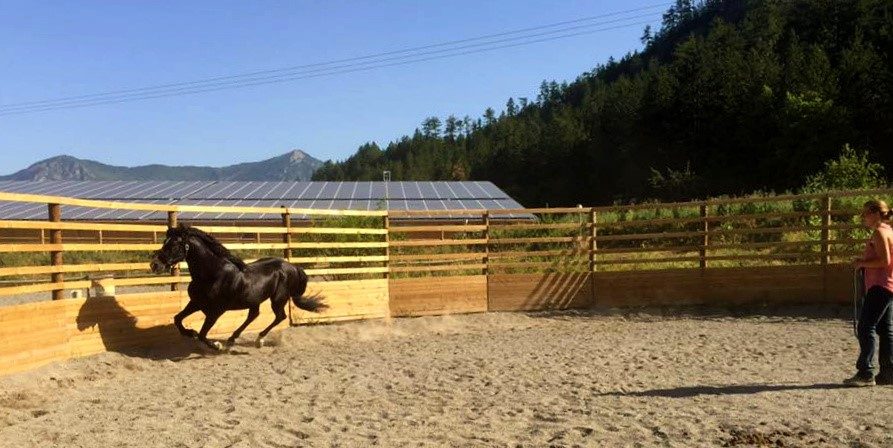 chambres famililales sur ferme équestre en pleine nature — photo 7
