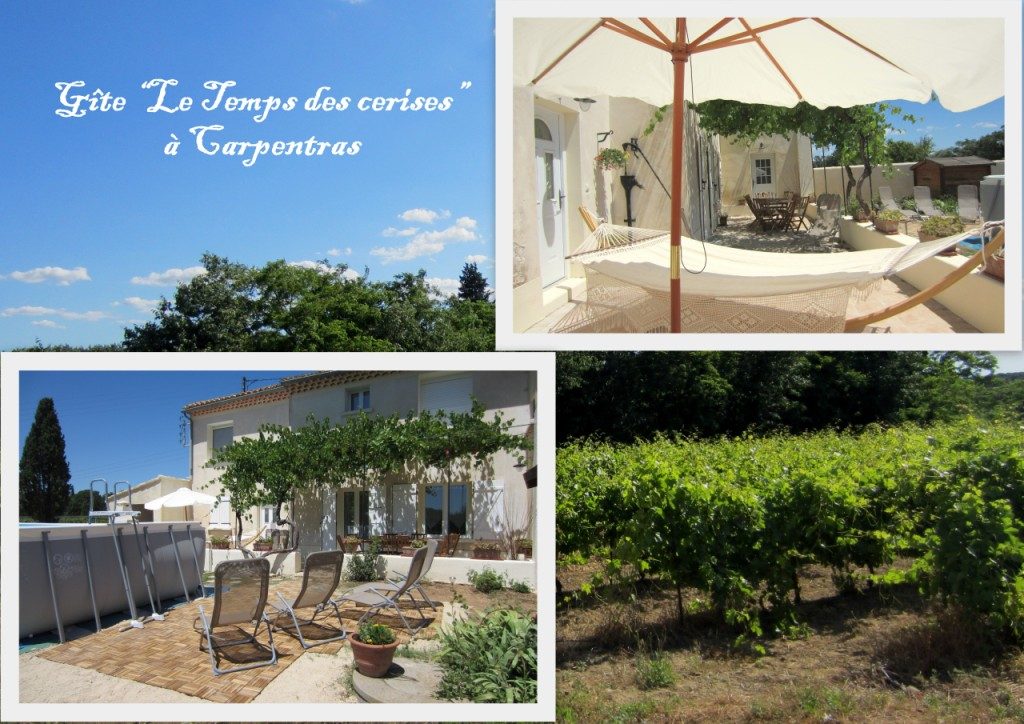 Mas provençal convivial et chaleureux au milieu des vignes à 20min d'Avignon