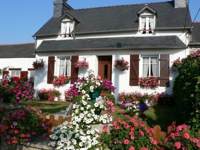 Le Grand Hortensia centre Finistère